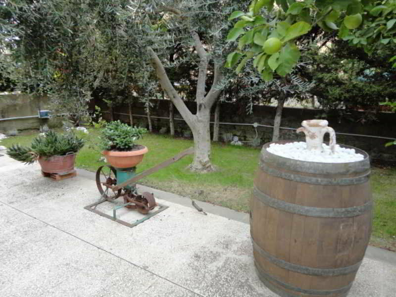 Tarchon Luxury 3*